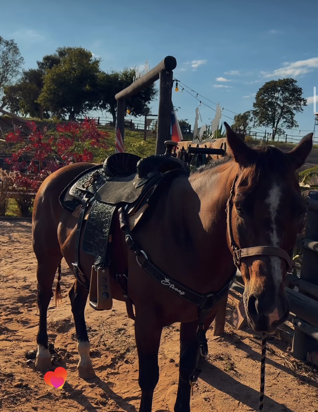 Rancho 3